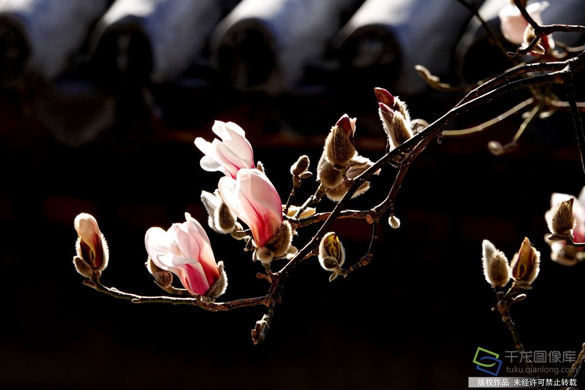 微信图片_20260309142219_611_4542_副本