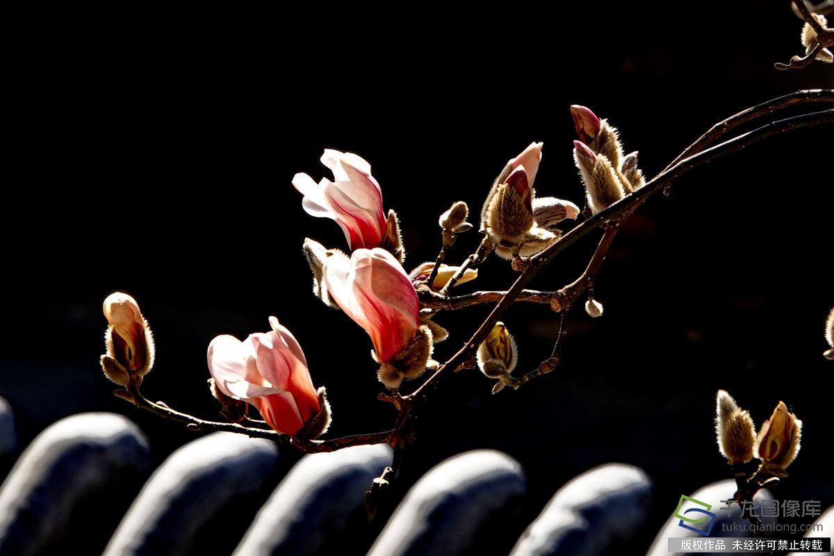 微信图片_20260309142159_609_4542_副本