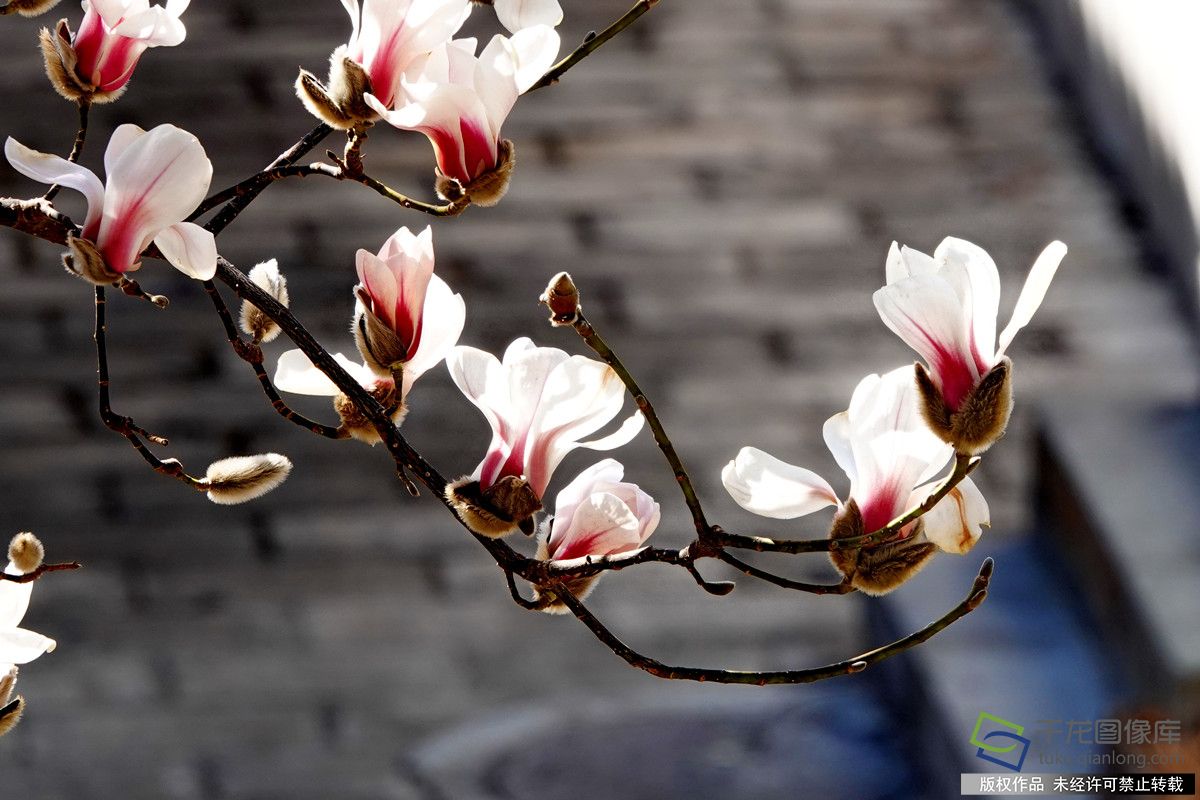 微信图片_20260309142209_610_4542_副本