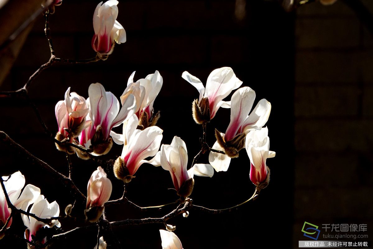 微信图片_20260309142225_612_4542_副本