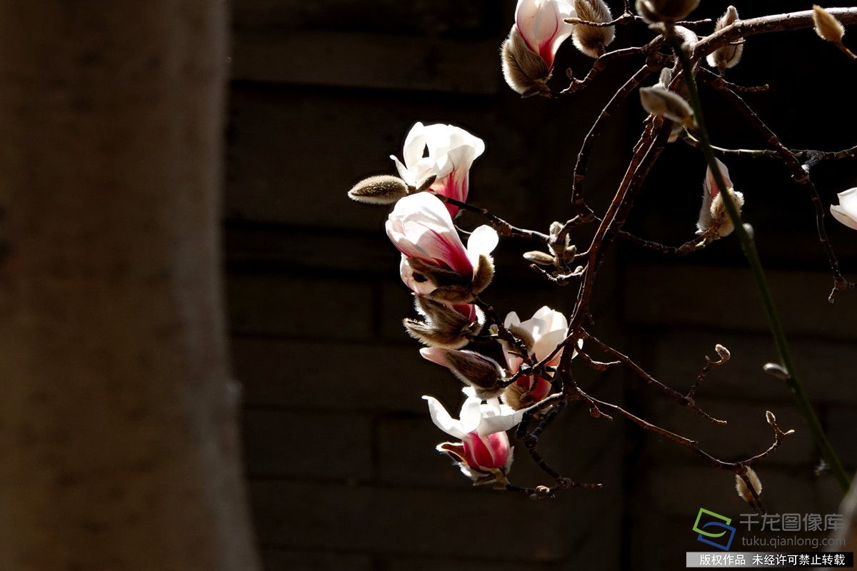 微信图片_20260309142236_613_4542_副本