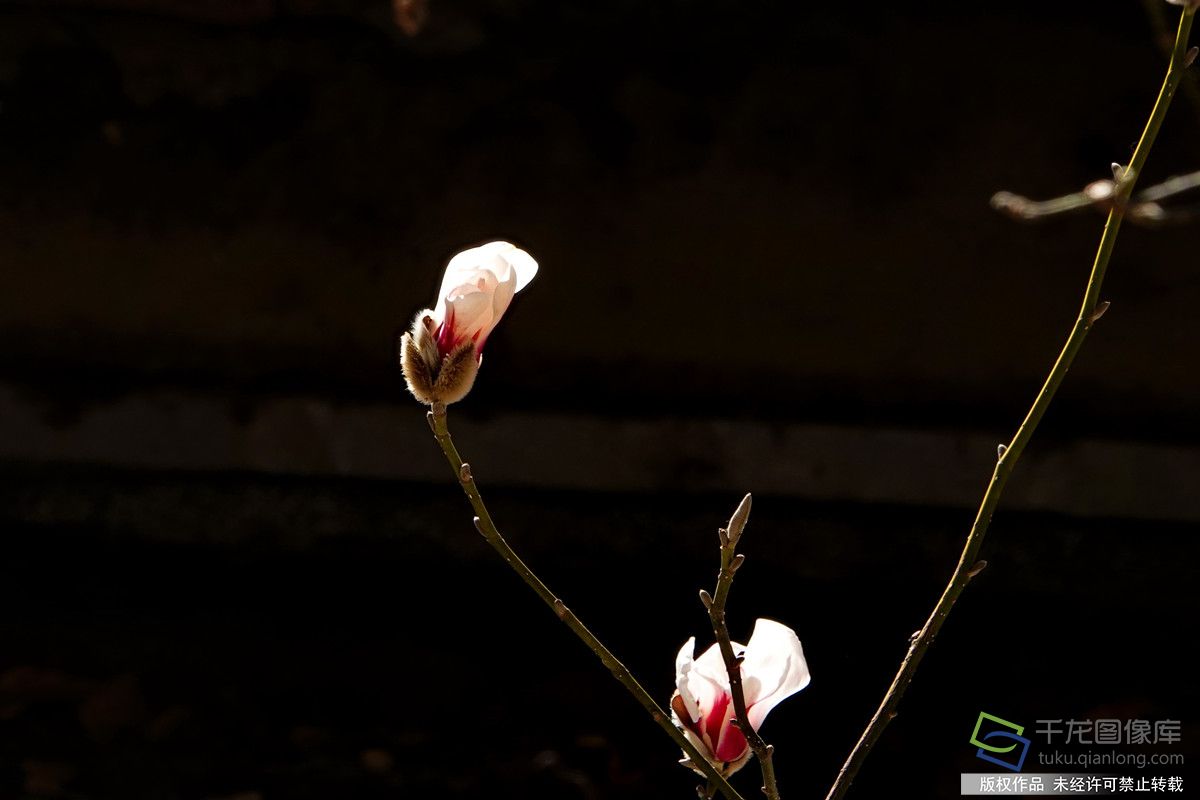 微信图片_20260309142154_608_4542_副本