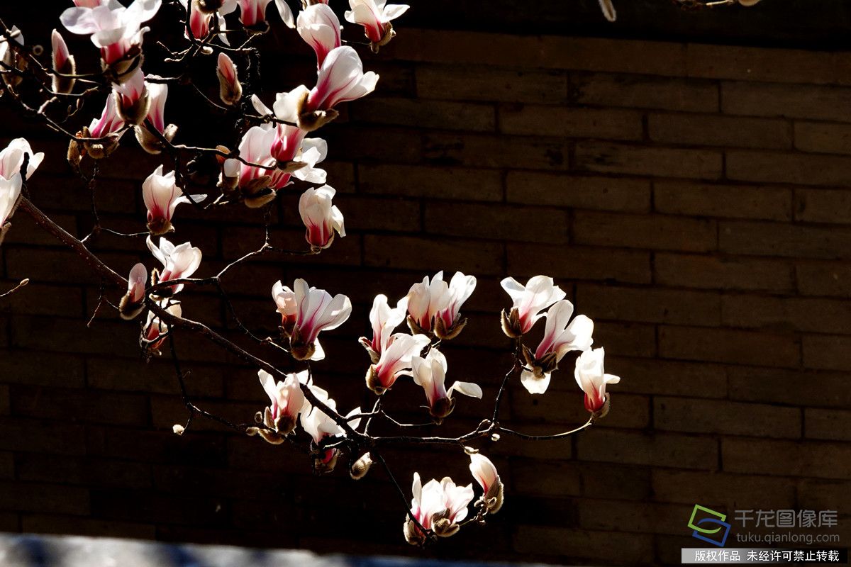 微信图片_20260309142245_614_4542_副本