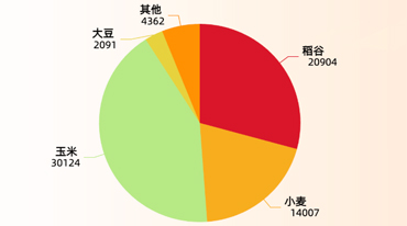 一组数据看粮食安全“压舱石”更坚实