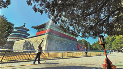 天坛公园1500余株柏树“洗剪吹”降粉