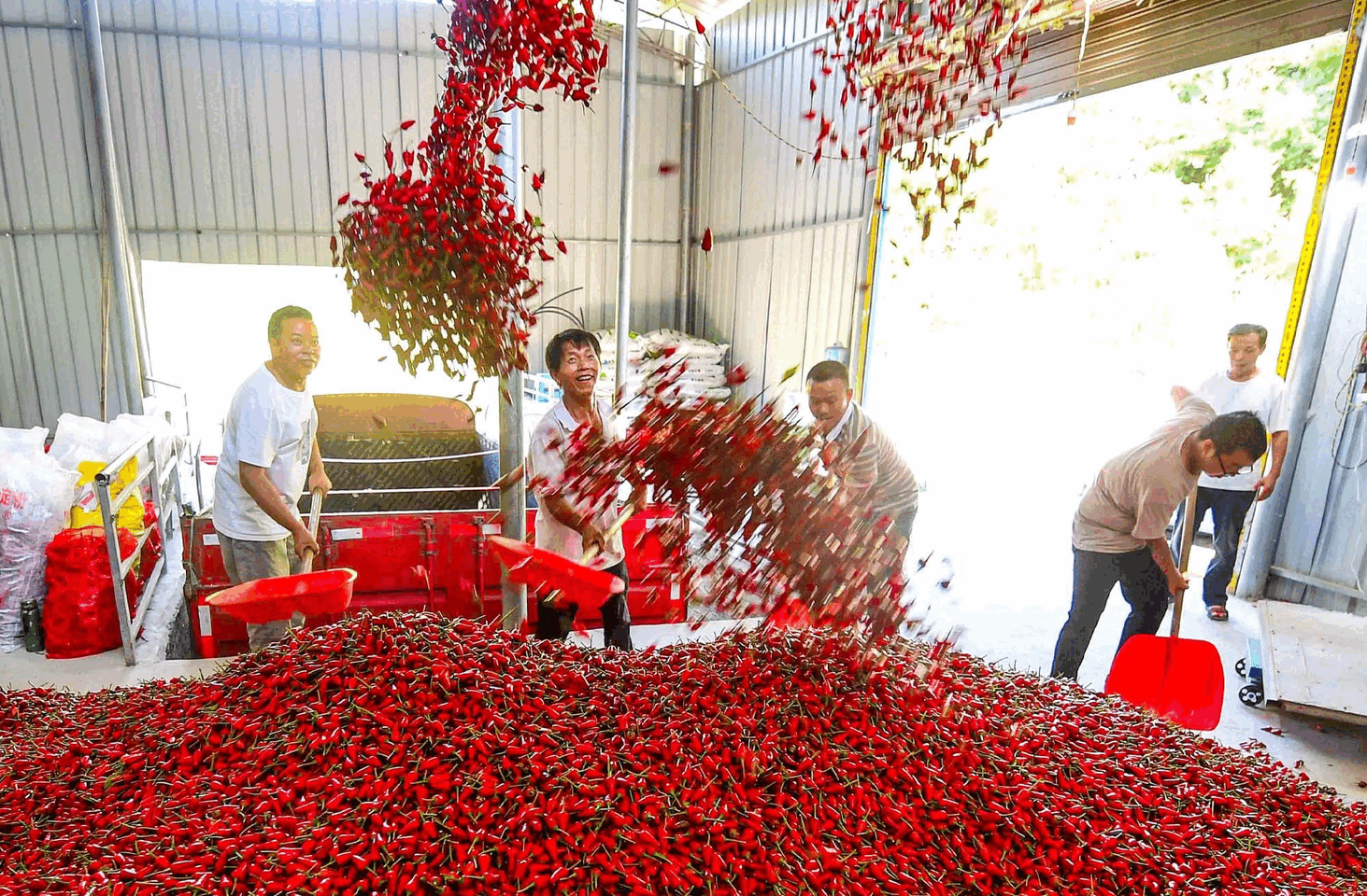 dD0xNzczMTI0NjkxX3I9NzQyMDlhNzI=.GIF 农业动图.GIF