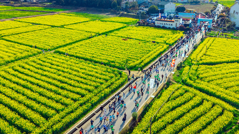 “赏花+”模式带你解锁乡村旅游新玩法