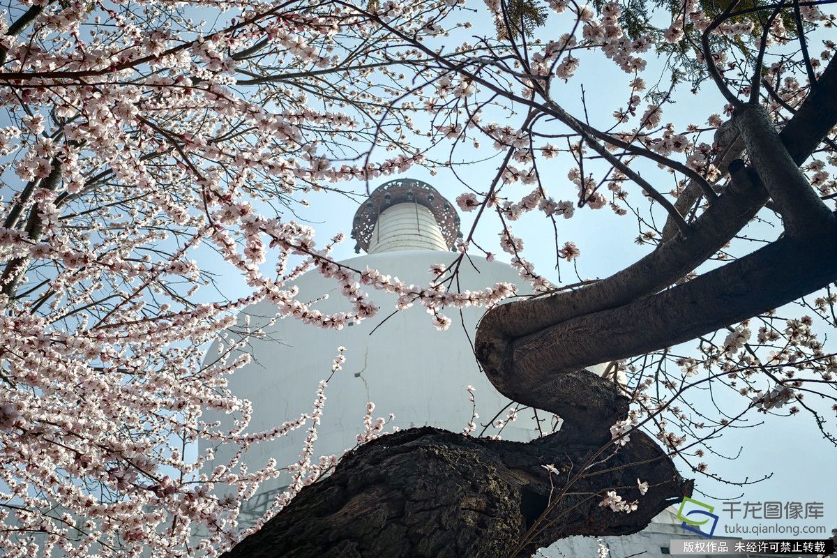 微信图片_20260316165540_704_4542_副本