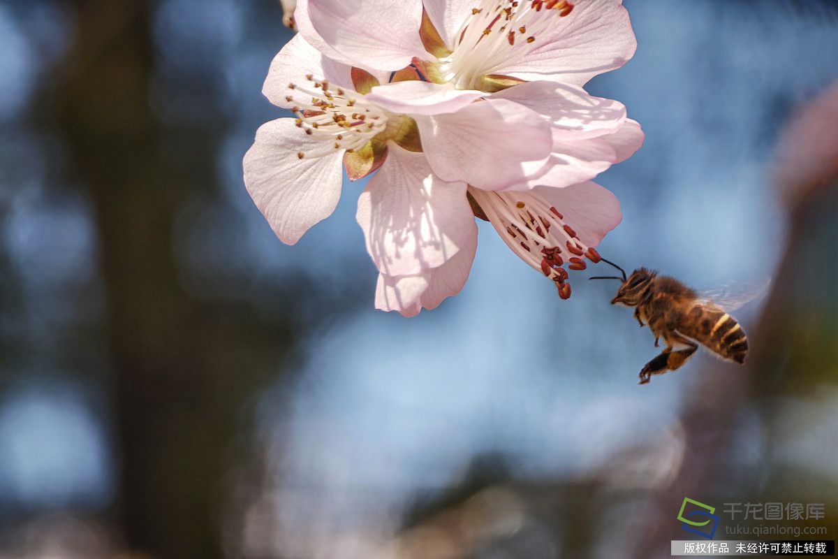 微信图片_20260316165555_710_4542_副本