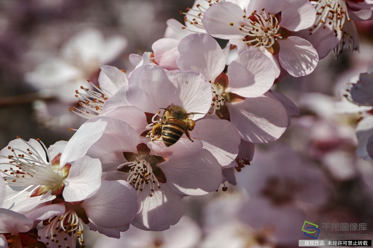 微信图片_20260316165612_717_4542_副本