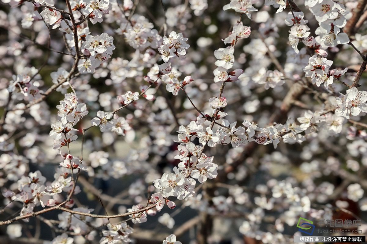 微信图片_20260316165602_712_4542_副本