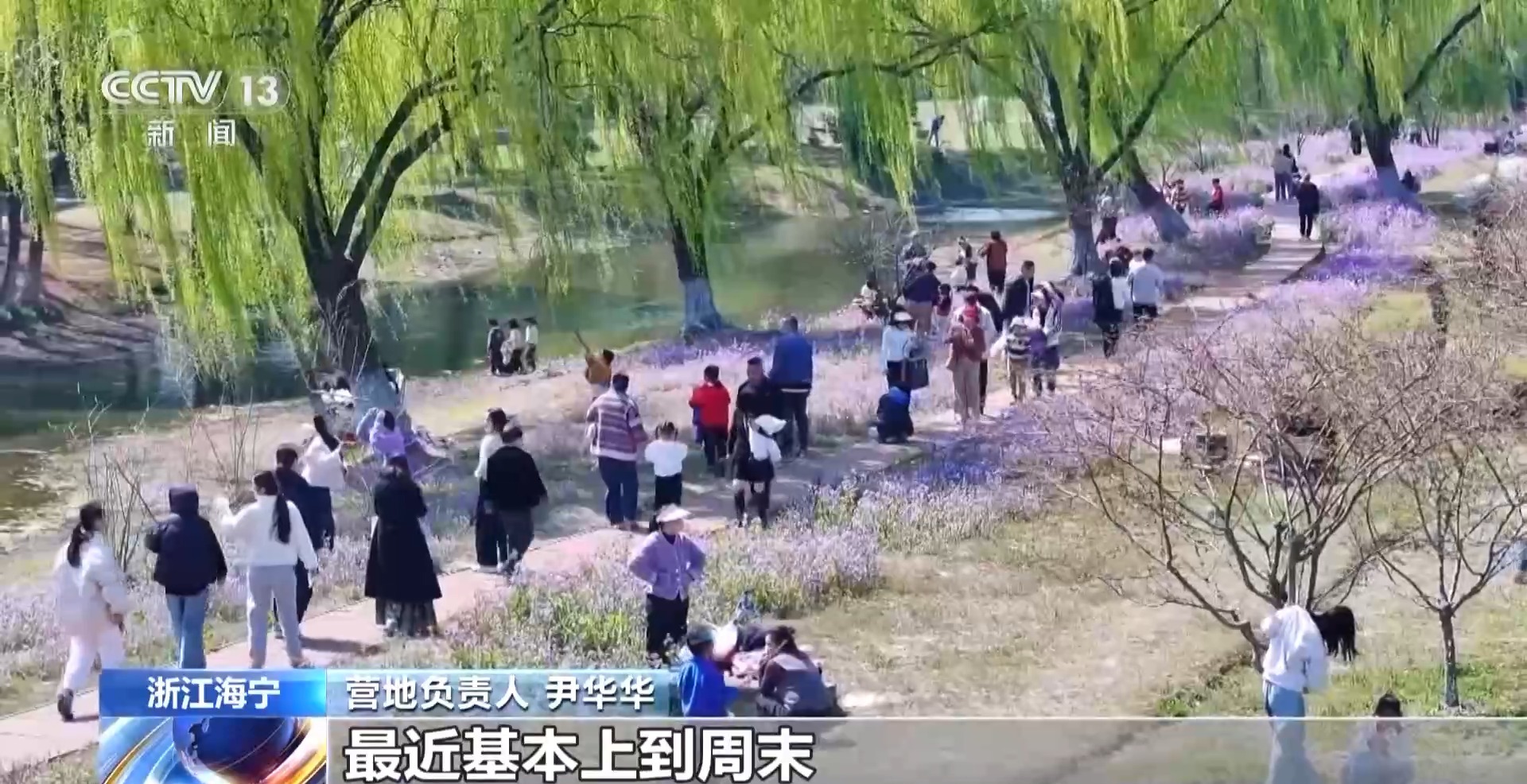 视频丨踏青赏花、采春茶、吃春菜各地特色活动邀你尽享春日惬意