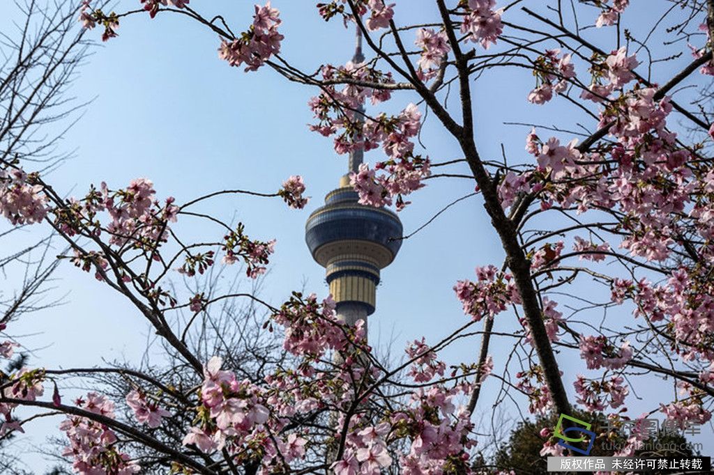 61c54200-220e-11f1-b48b-6d8f667b26fc_副本