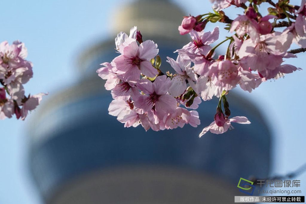 618a0dc0-220e-11f1-b48b-6d8f667b26fc_副本