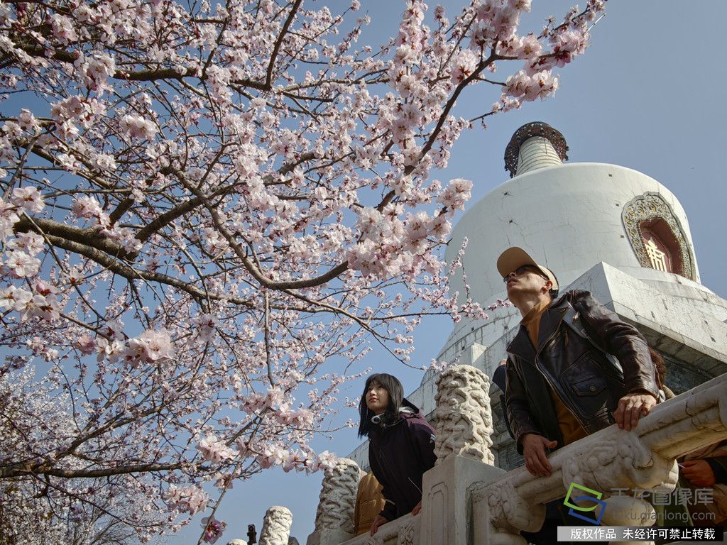 微信图片_20260316165610_716_4542_副本