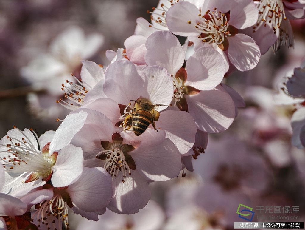 微信图片_20260316165612_717_4542_副本