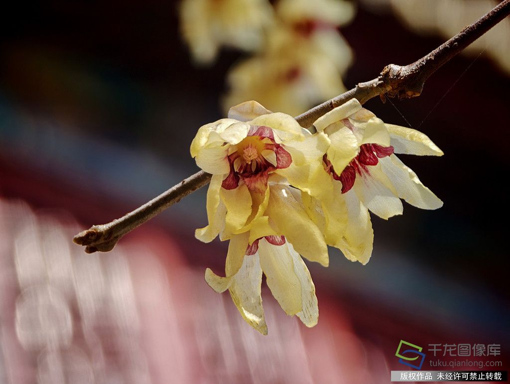 微信图片_20260316165614_718_4542_副本