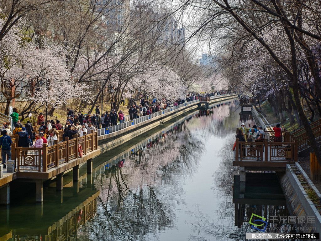 微信图片_20260319091747_945_89_副本