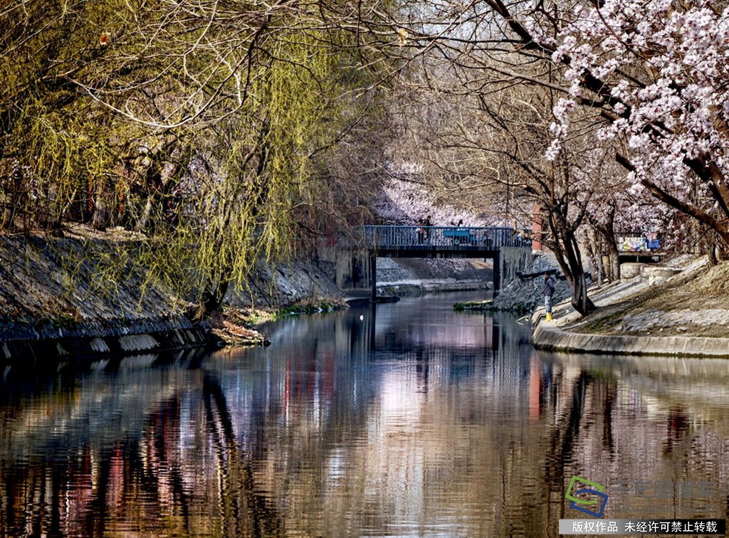 微信图片_20260319091804_946_89_副本