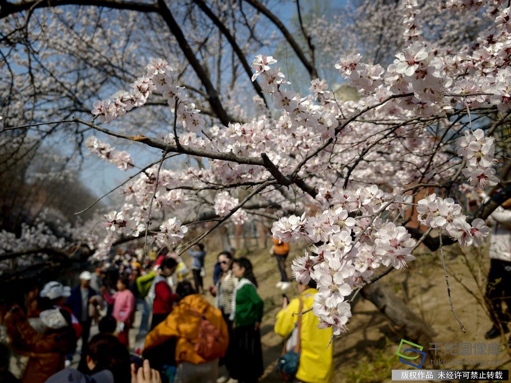 微信图片_20260319091824_948_89_副本