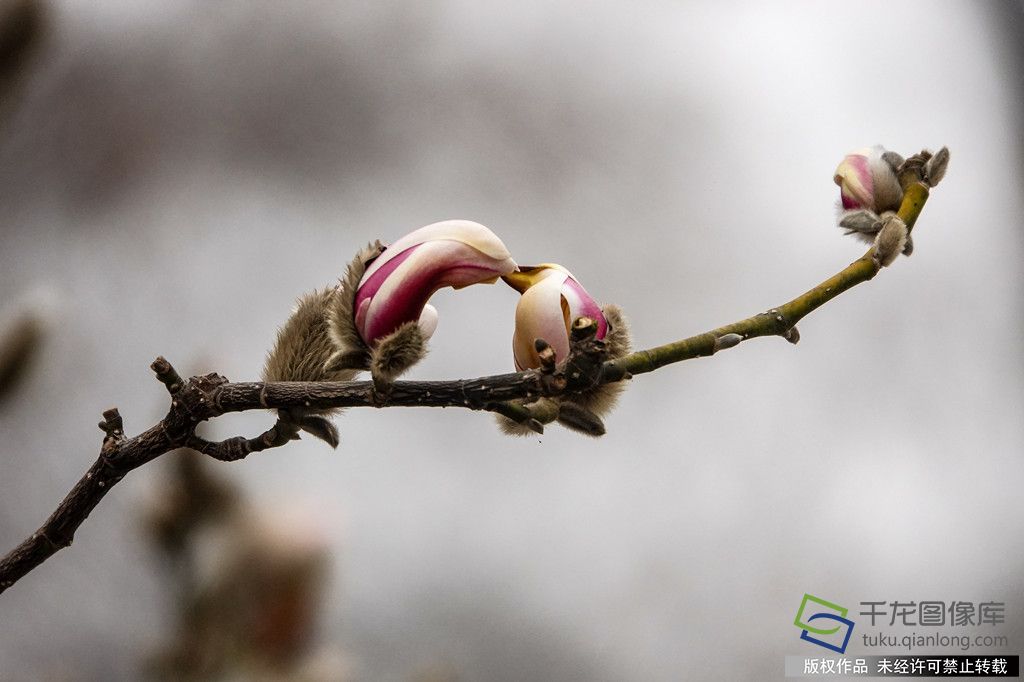 微信图片_20260316085254_674_4542_副本