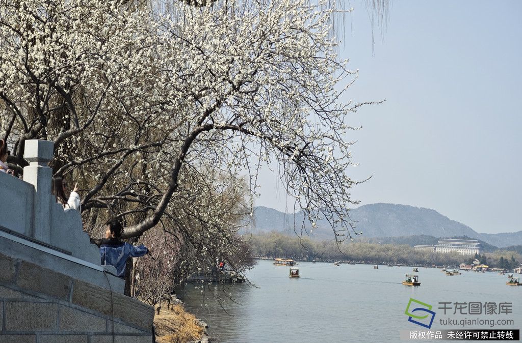 微信图片_20260316093009_677_4542_副本