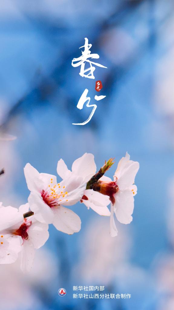 节令之美丨春分:千花百卉争明媚