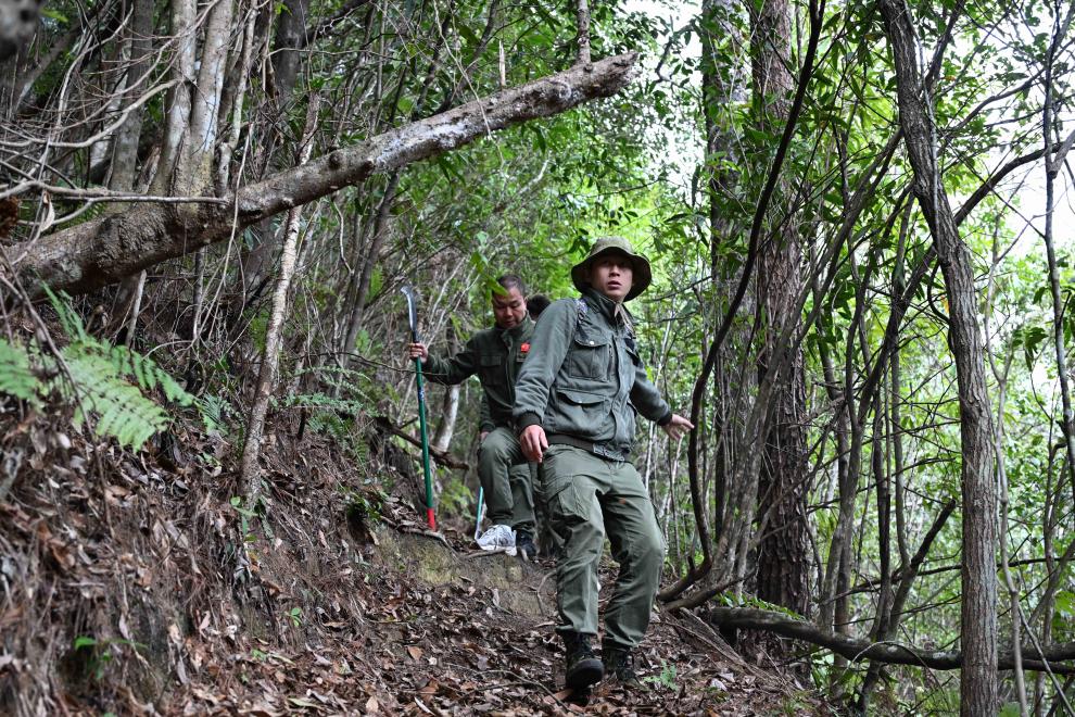 跟着护林员去巡山:每天都是一场“10公里山地越野”