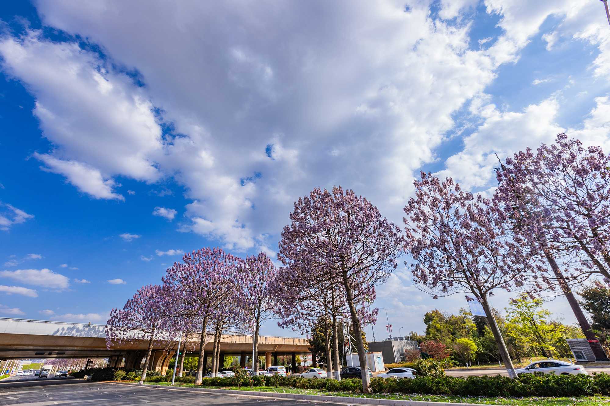 晶采观察丨三个指标之变藏着“十五五”规划里的民生温度