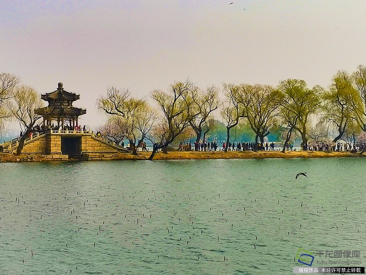 微信图片_20260324144532_235_805_副本