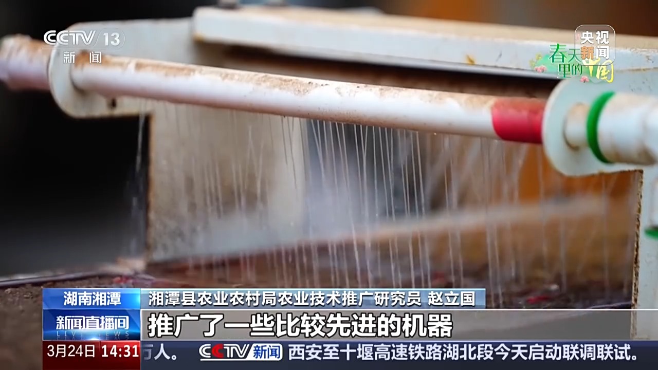 智慧育秧、稻田咖啡、沙漠新绿各地抢抓农时春耕忙