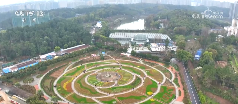 “春日限定”美景激发消费蓬勃活力“赏花经济”以小切口撬动大市场