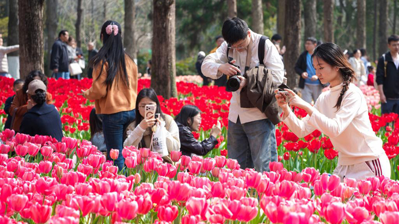 马力全开！春日消费“花开”多地