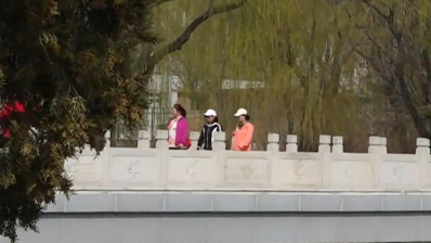 多家公园上线实时过敏指数提示