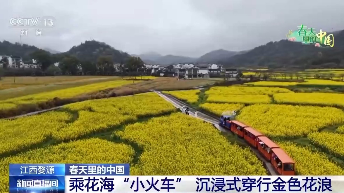 视频丨“村游”玩法新升级赏花经济激发古村旅游产业活力