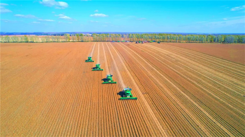 生物育种新技术加速应用 助力“中国粮”用上“中国种”