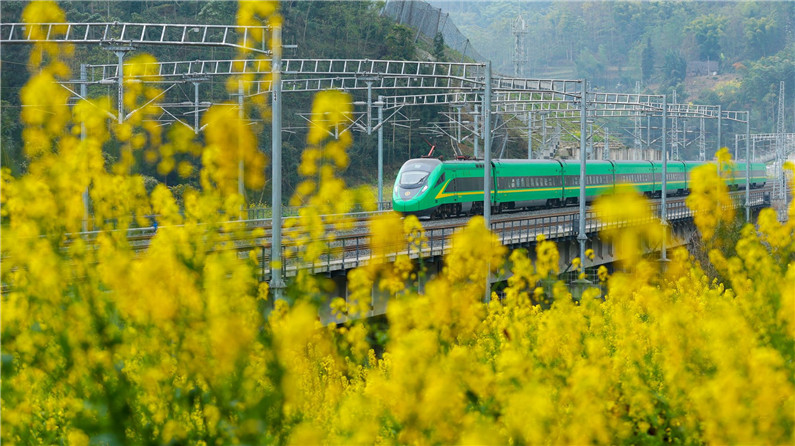 开往春天的列车，下一站：春和景明