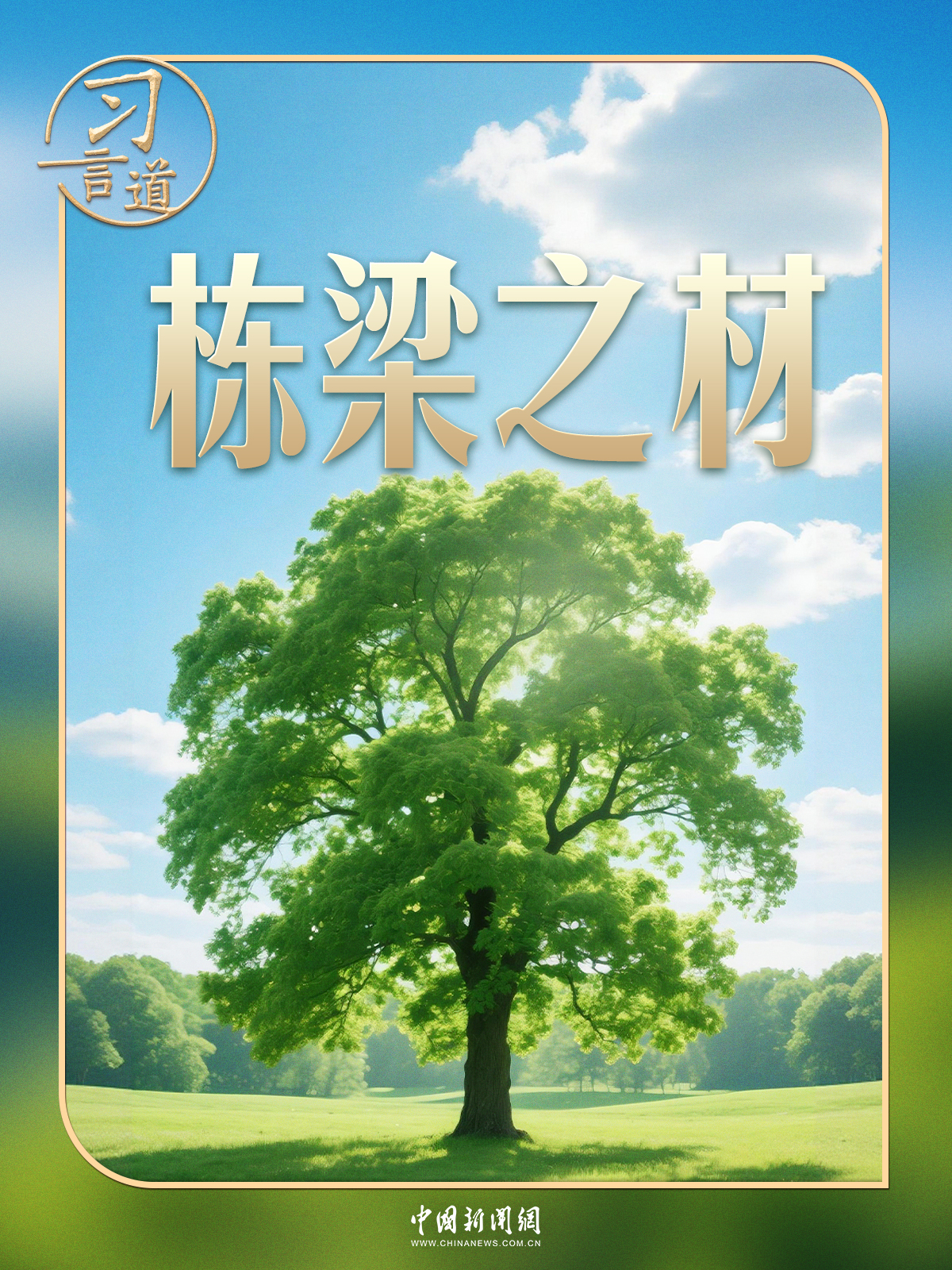 21