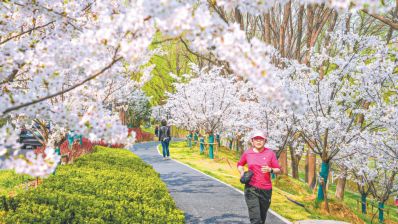 北京，一座看不尽的花园之城