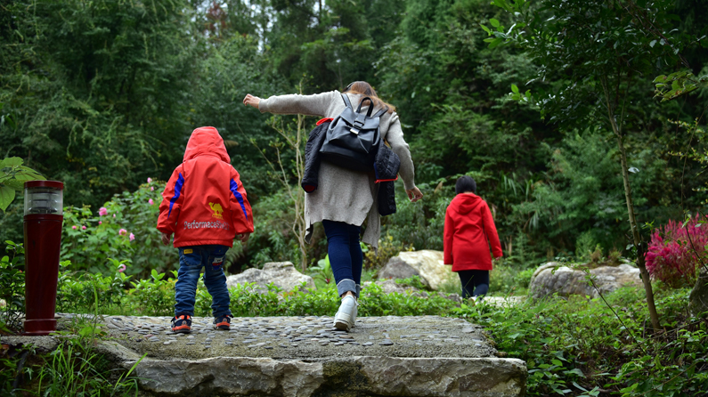 春光里乐享成长 部分地区迎亲子游高峰