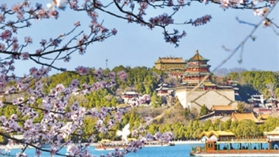 跟着赏花地图 我们打卡春天