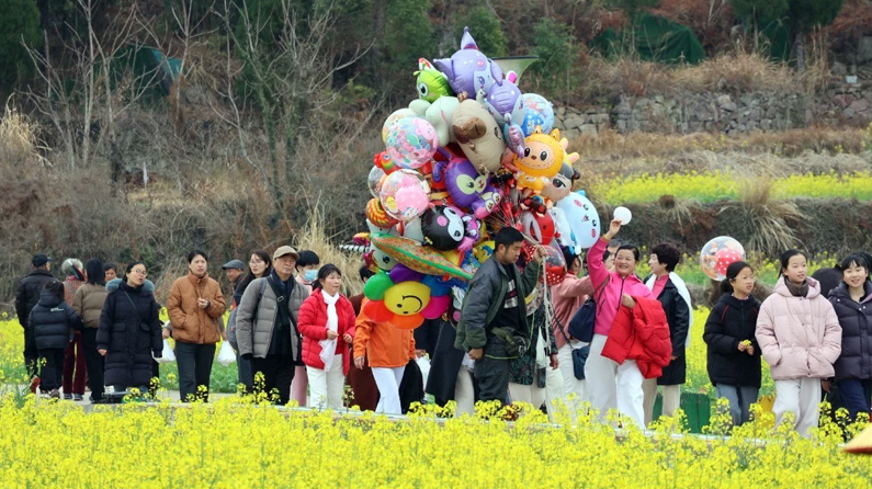 赏花经济靠什么“常开不败”