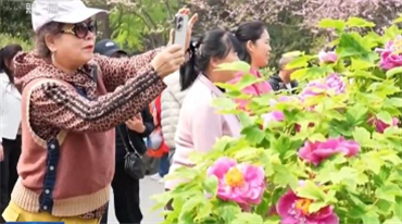 春光正好 各地春日经济呈现新活力