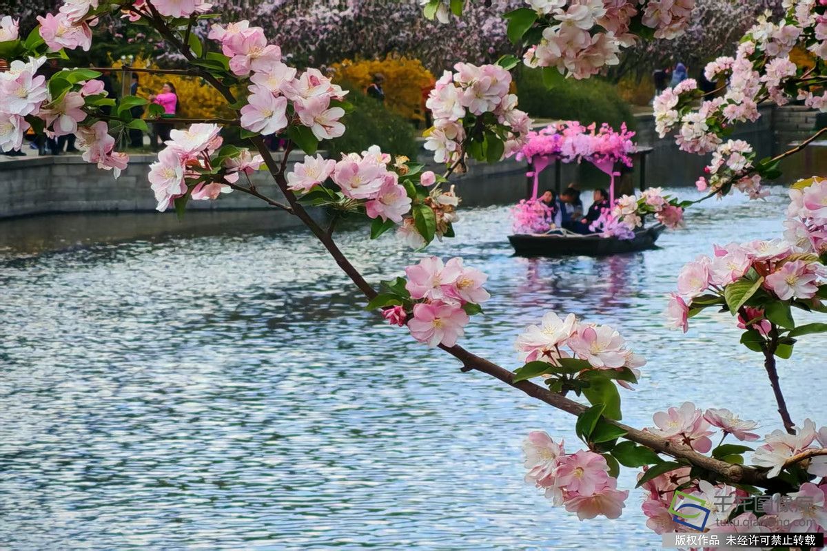 微信图片_20260406192402_804_4542_副本