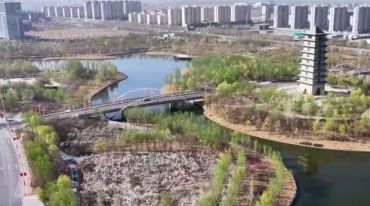 新疆以花为媒 绘旅游新图景