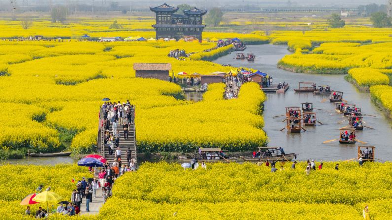 清明踏青的N种“打开方式”