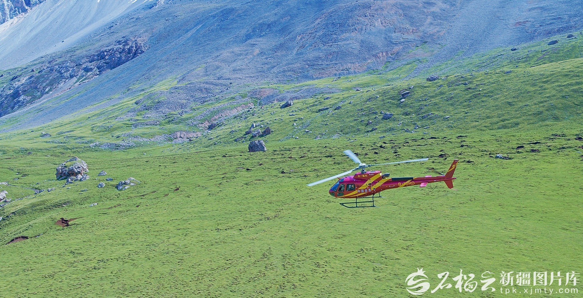 W020260408661075619325