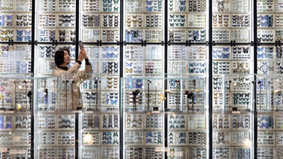 唯美蝴蝶墙亮相北京南中轴首个博物馆