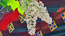 这里为何能吸引泰戈尔赋诗