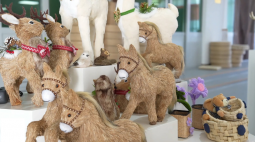 小蒲草有了“钞”能力